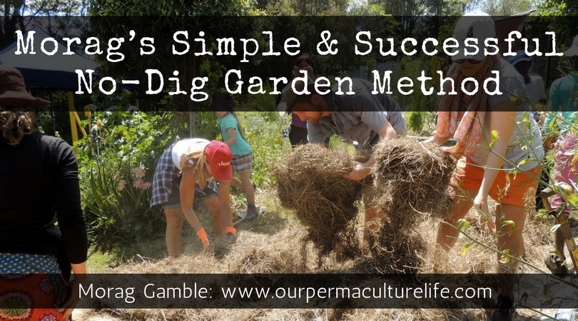 No-dig gardening with Morag Gamble