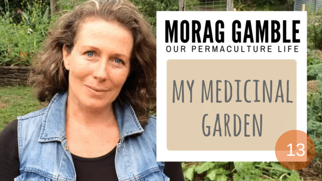 grow your own medicines