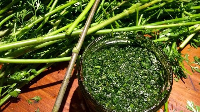 10 Reasons Why Cilantro Is Good For You Our Permaculture Life