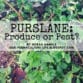 Purslane