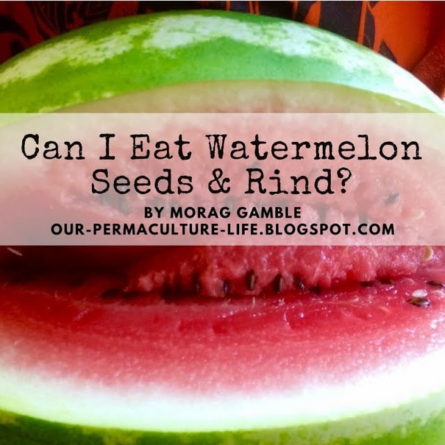 Can I Eat Watermelon Seeds and Rind? Our Permaculture Life