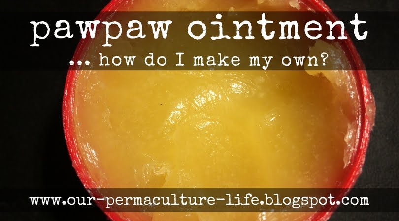 Boghandel Settlers mandat Did you know that Pawpaw Ointment is made of 96% petroleum jelly? - Our  Permaculture Life