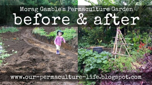 Permaculture Life