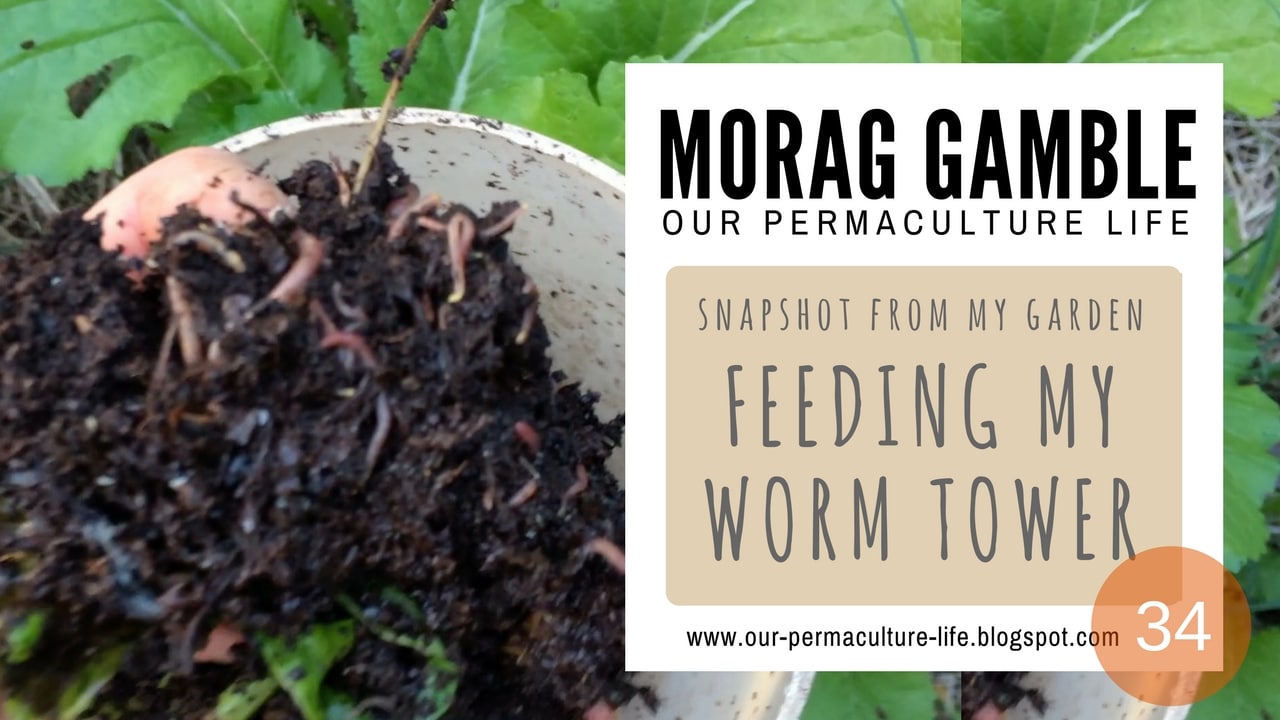 How Worm Towers Work Our Permaculture Life