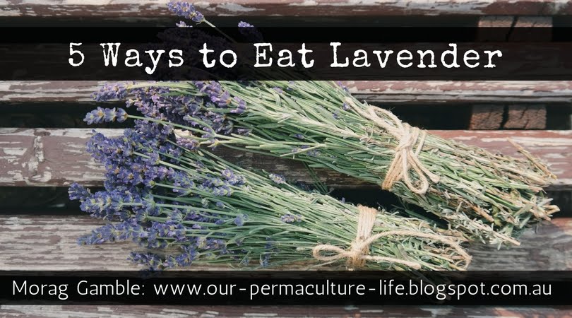 5 Ways to Eat Your Lavender - Our Permaculture Life