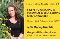 Free Online Masterclass with Morag