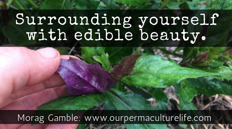 Edible Beauty