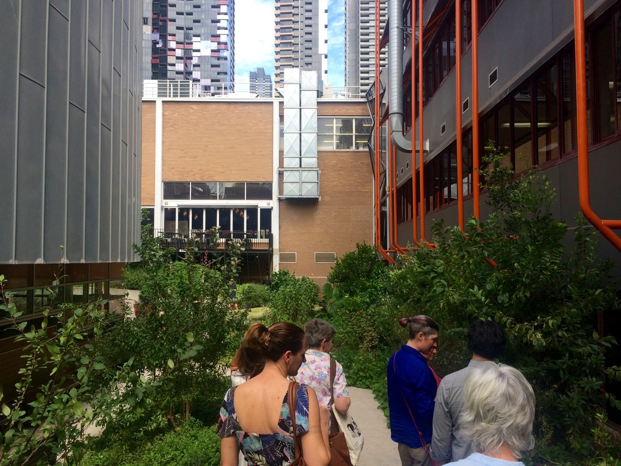 Downtown food forest