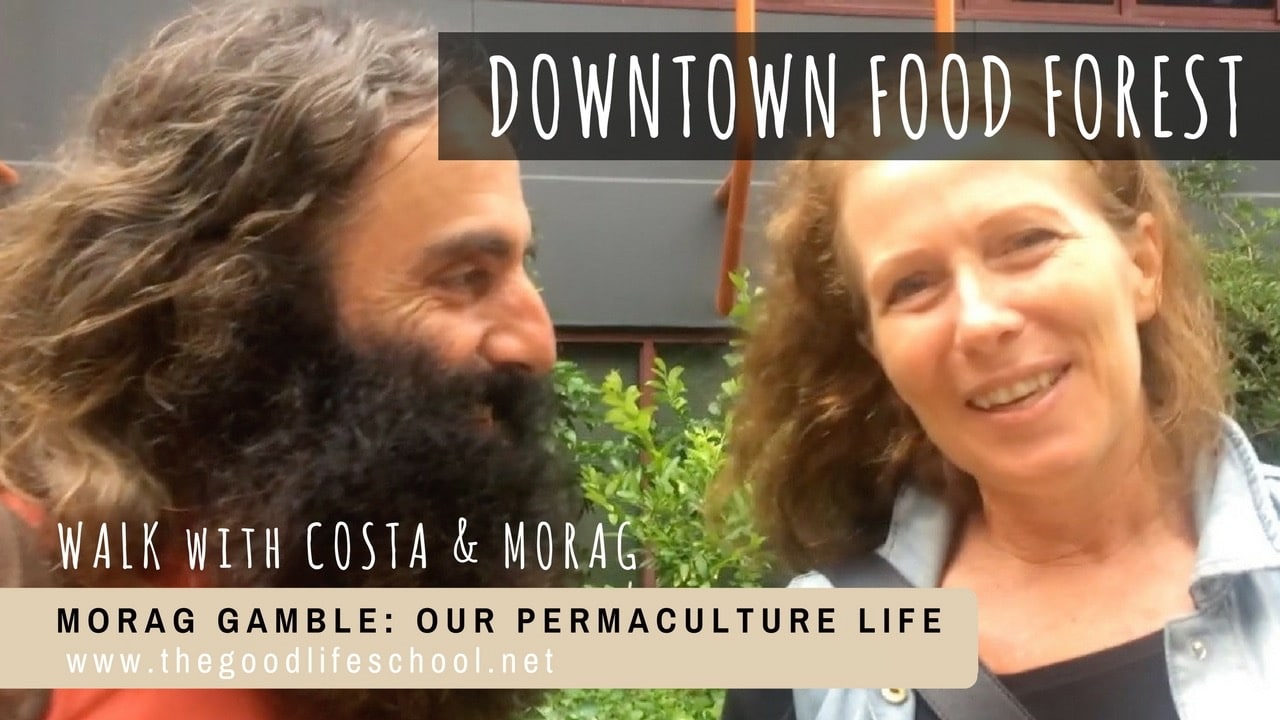 Morag Gamble and Costa Georgiadis