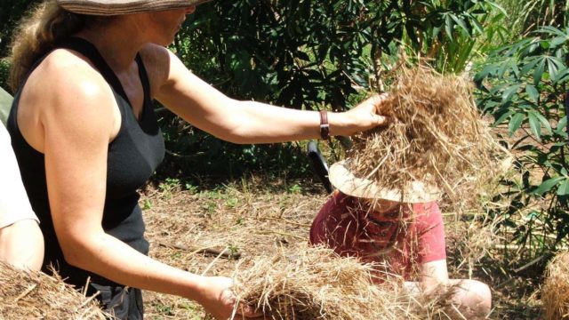Drought proof garden