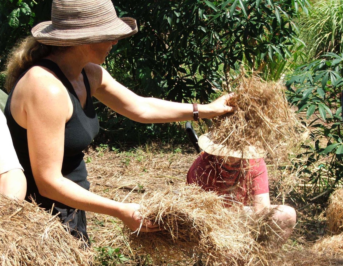Drought proof garden