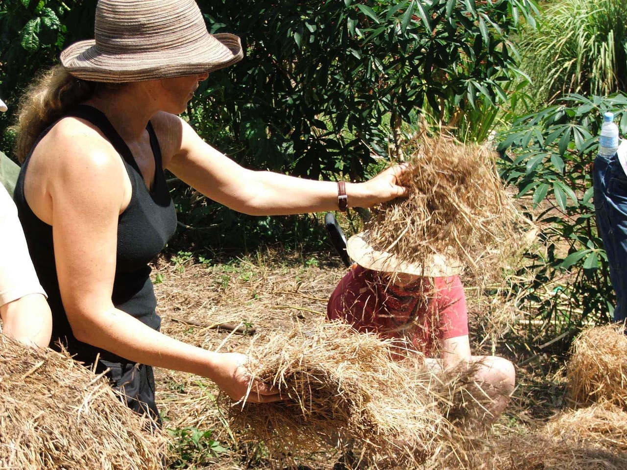 Mulch protects soil and water