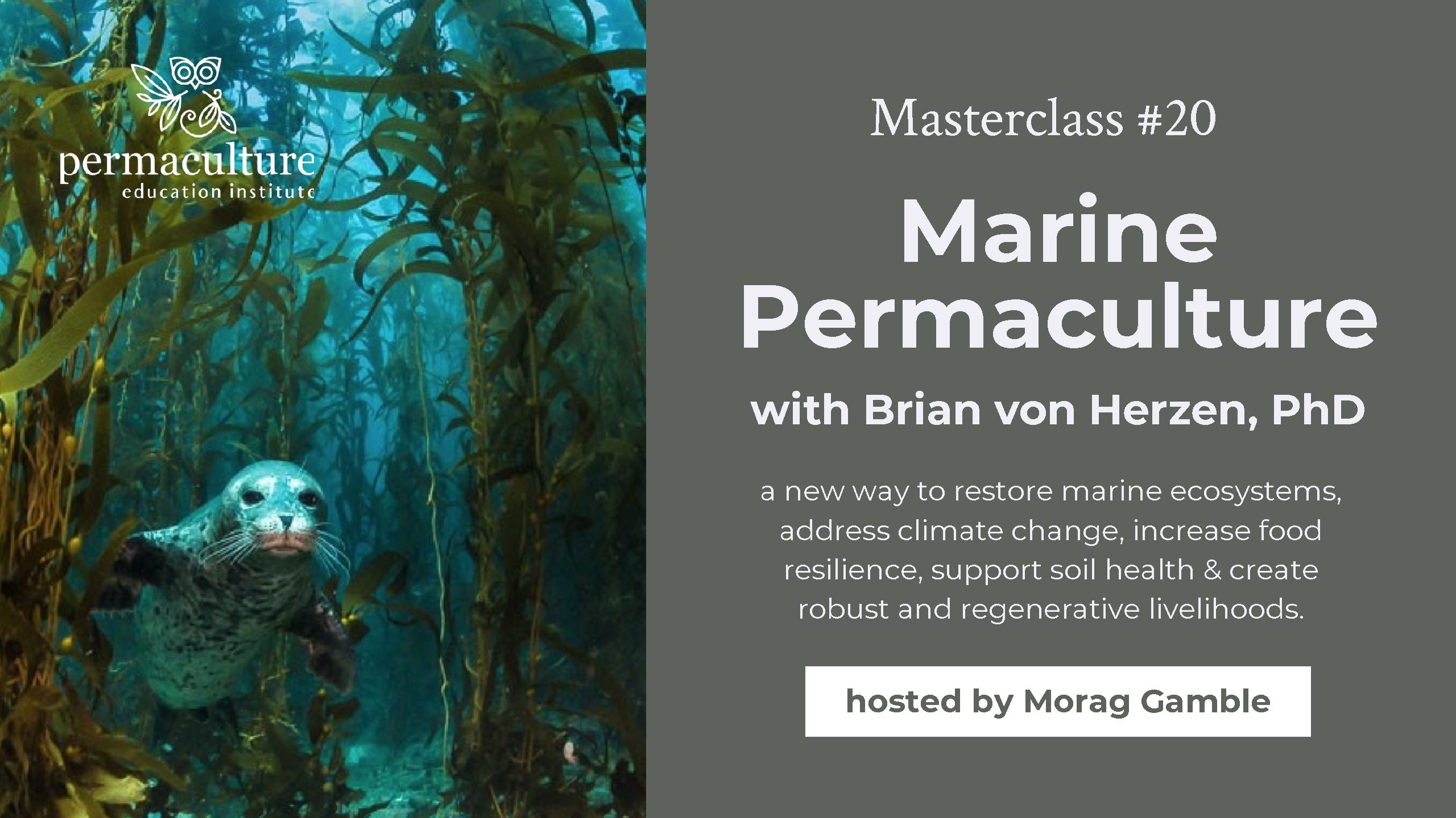 Masterclass 20 Marine Permaculture Image - Our Permaculture Life