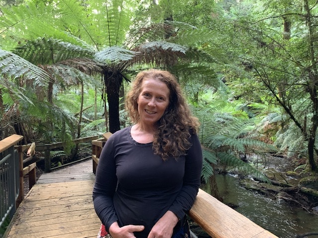 permaculture and forests