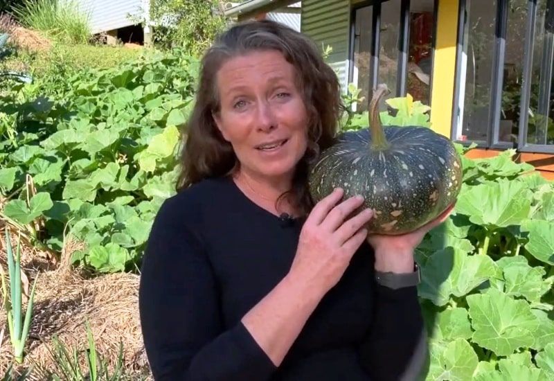 Morag Pumpkin