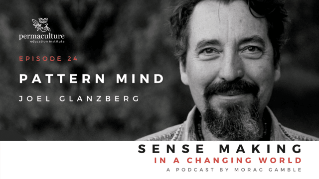 Pattern mind with Joel Glanzberg