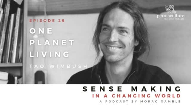 Sense-making in a Changing World Podcast Header with Tao Wimbush