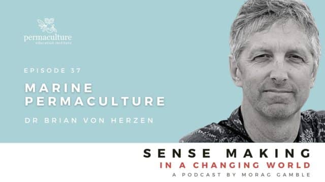 Marine Permaculture Movement