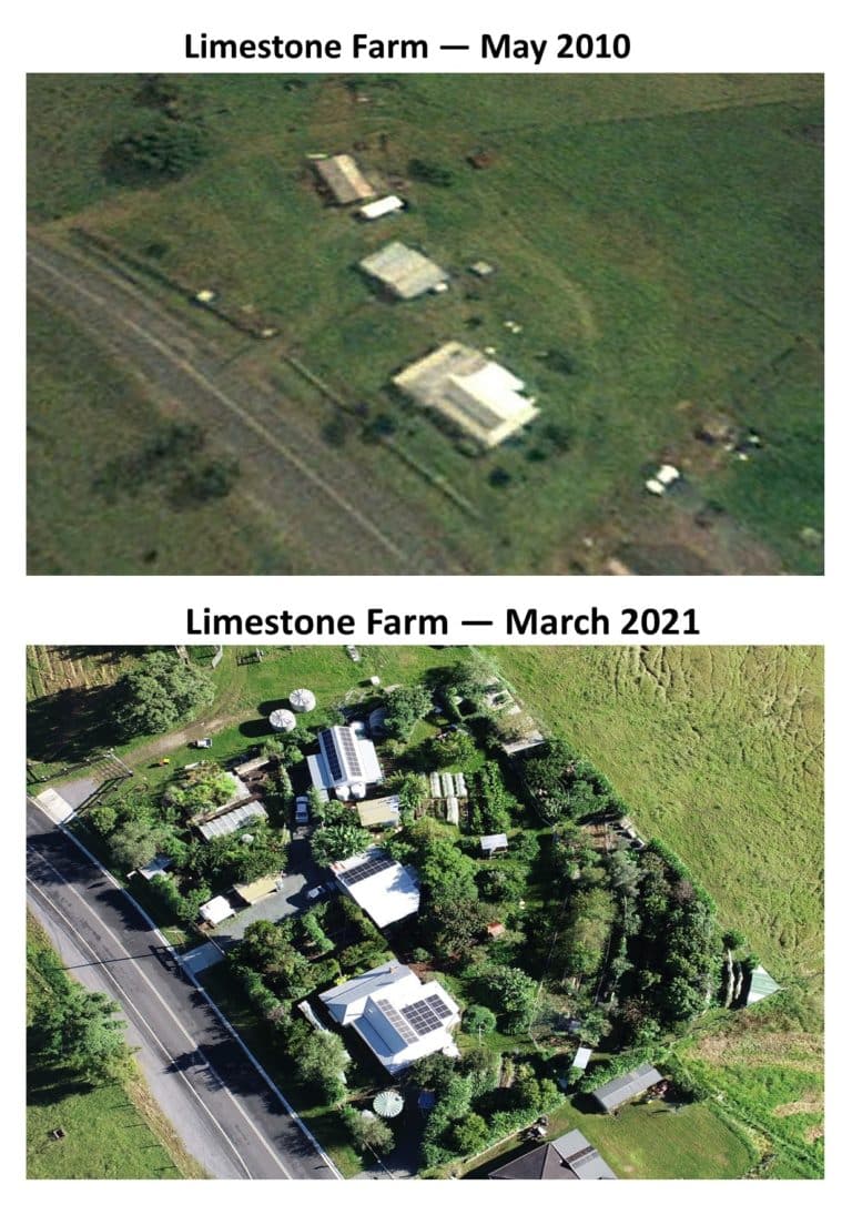 One Acre Permaculture Farm before and after