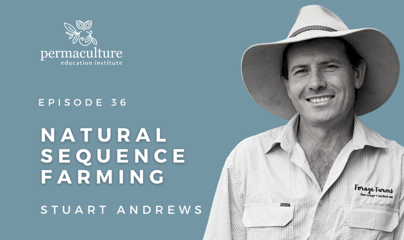 Episode 36: Natural Sequence Farming with Stuart Andrews and Morag ...