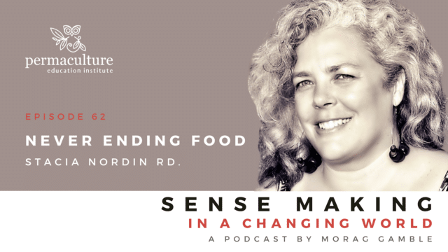 Stacia Norden on Sense-Making in a Changing World Podcast