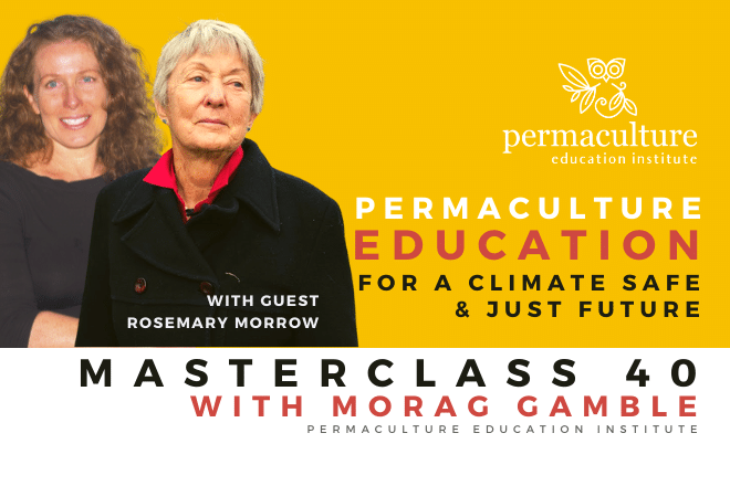 Masterclass 40 banner
