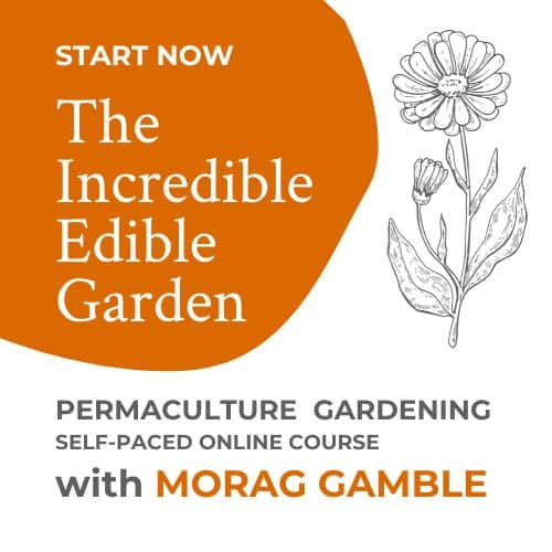 the-incredible-edible-garden