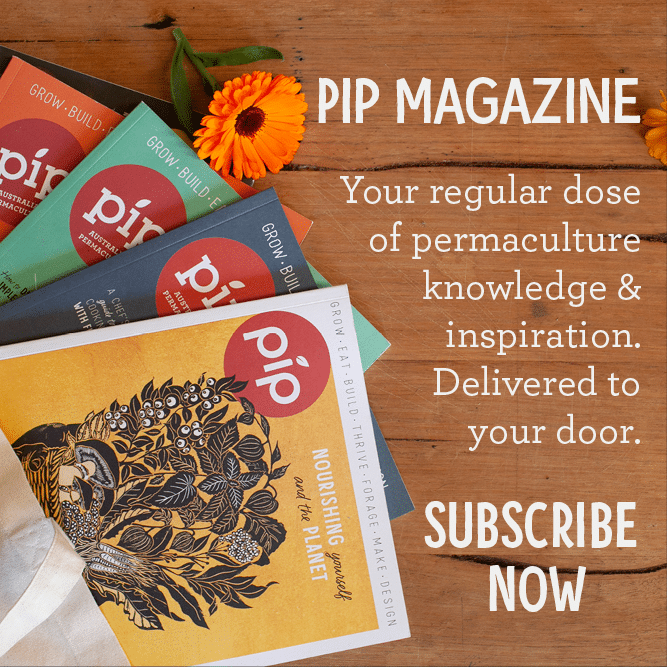 pip magazine