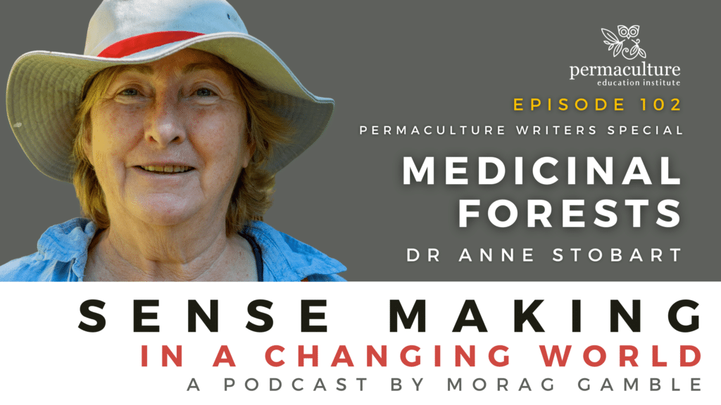 The Medicinal Forest with Dr Anne Stobart