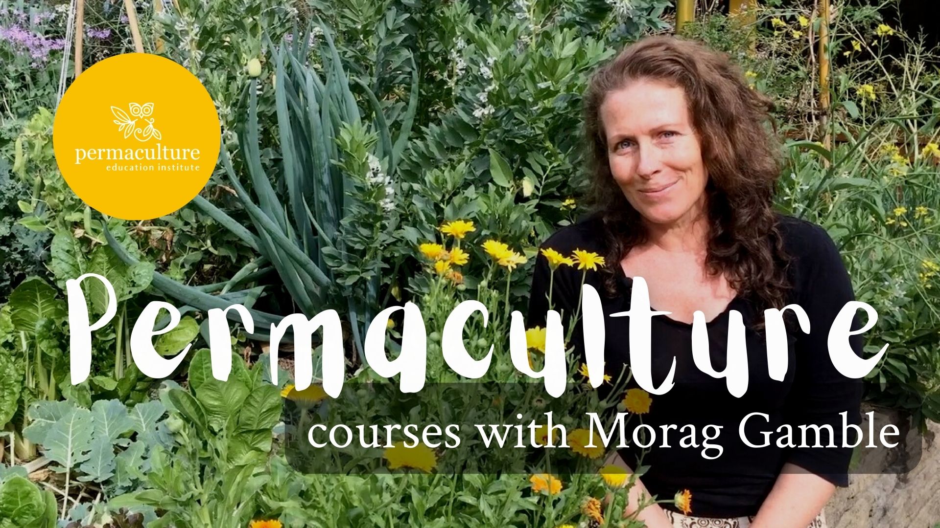Permaculture courses with Morag Gamble